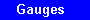 Gauge Page